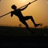 The Poll Vault's profile picture