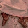 Genesis_Nour profil fotoğrafı