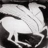 Pegasus 的头像