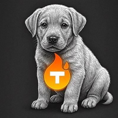 1111bigdog's profile picture