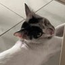 José 的头像