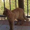 Фото профиля יום שמש