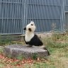 ナナミラ 的头像