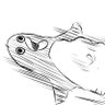 Profilbild von 粉