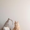 Фото профиля Janet Pratt
