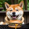 Đoge(bullshit)coin ❎️ profil fotoğrafı