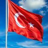 Nurcan turan's profile picture
