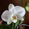 Фото профиля Victoria75