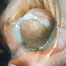 Orapeleng Kgosamang profil fotoğrafı