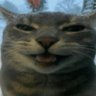 Profilbild von wydbruvh