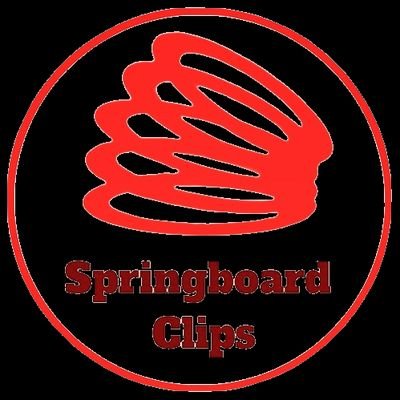 springboardras's profile picture