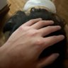 Profilbild von ritian