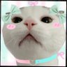 MMMIDIM🐰 profil fotoğrafı