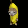 Sakamoto Hari-Hari's profile picture
