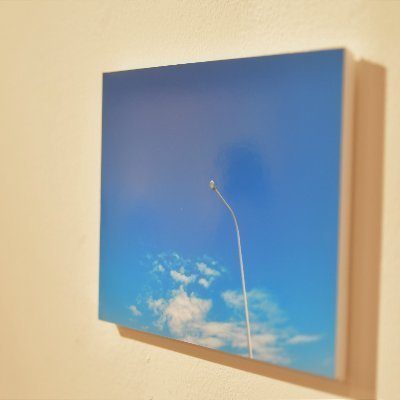 NIKAIDO_KIJI's profile picture