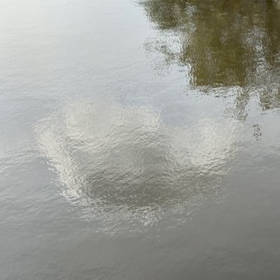 Jutty Taylor's profile picture