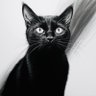 Black Kitty profil fotoğrafı