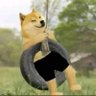 NobithA's profile picture