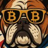 Profilbild von Bitcoin Beefcake