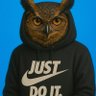 P.N.M🦉 profil fotoğrafı