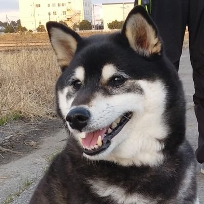 WsQgcHy4bB6ufF0's profile picture