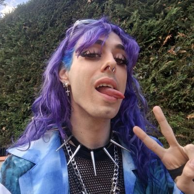 sky.e 🥀🕷️'s profile picture