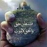 Eng/Yasser Mhmoued 的头像