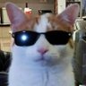 Boxol profil fotoğrafı