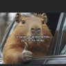 Sergio Velandia's profile picture