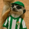 Suri Betis profil fotoğrafı