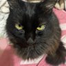 Nao profil fotoğrafı