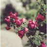 Фото профиля Kellie Flynn