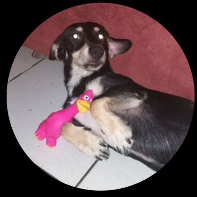 Lucii's profile picture