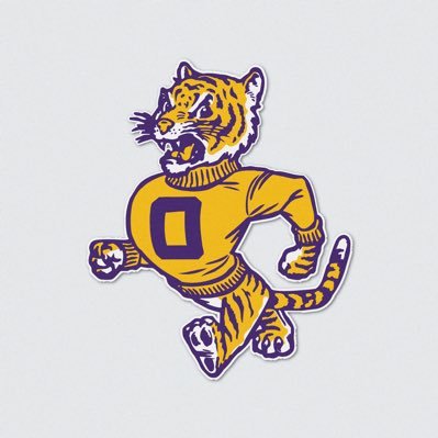 ONU FOOTBALL's profile picture