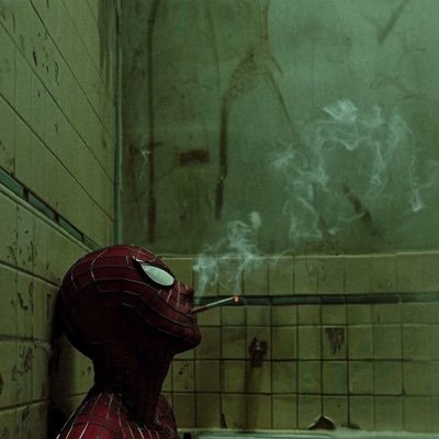 SpiderManSaigon's profile picture