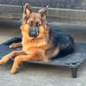 Profilbild von Cleo_1776