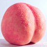 Фото профиля セセリ