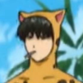 polarrblrss's profile picture