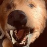 Profilbild von Bj