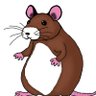 Profilbild von Rat Lord