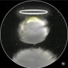 ãªãã profil fotoÄrafı