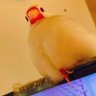 みまとこ profil fotoğrafı