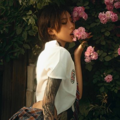 鱼葱's profile picture
