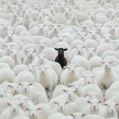 RAPTURE IS IMMINENT REPENT ๐บ๐ธ's profile picture
