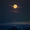 النقد العلمي 的头像