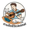 ตามติดชีวิตAnimal 的头像