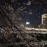 Фото профиля 2児のママ