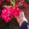 ❤آرامش دلها❤ profil fotoğrafı