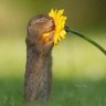 Profilbild von me