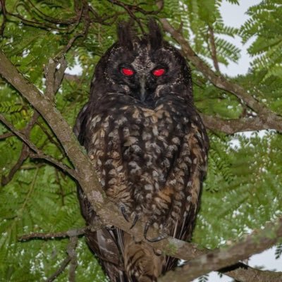 g40666's profile picture
